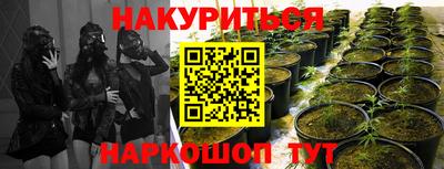 стаф Малоярославец