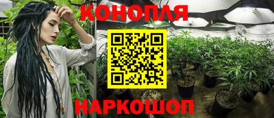 стаф Малоярославец