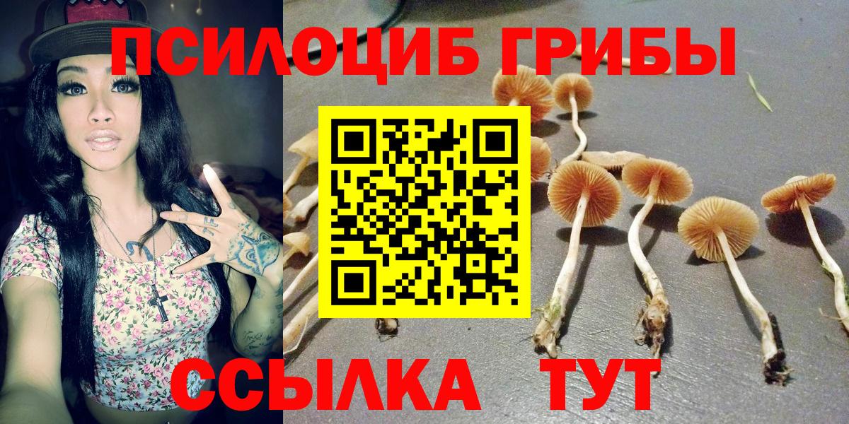 Галлюциногенные грибы MAGIC MUSHROOMS Строитель